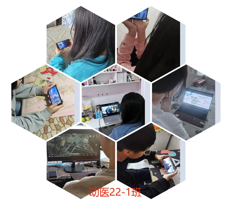 动医22-1班图片拼图.jpg 动医22-1班图片拼图.jpg