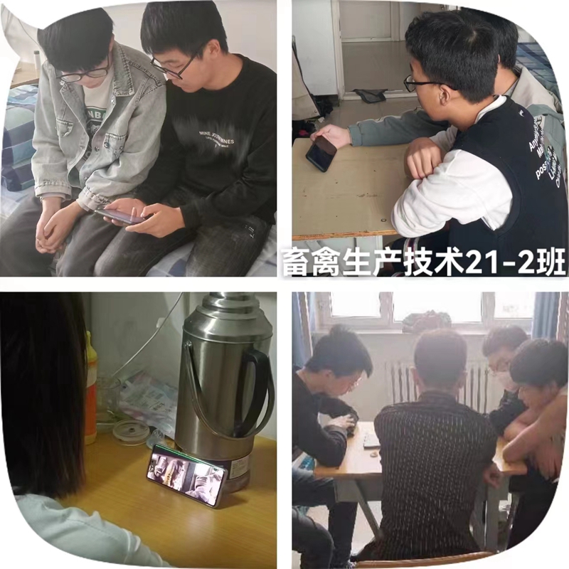 畜禽21-2.jpg 畜禽21-2.jpg