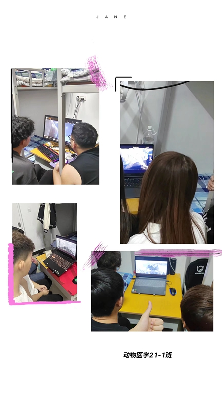 动医21-1班.jpg 动医21-1班.jpg
