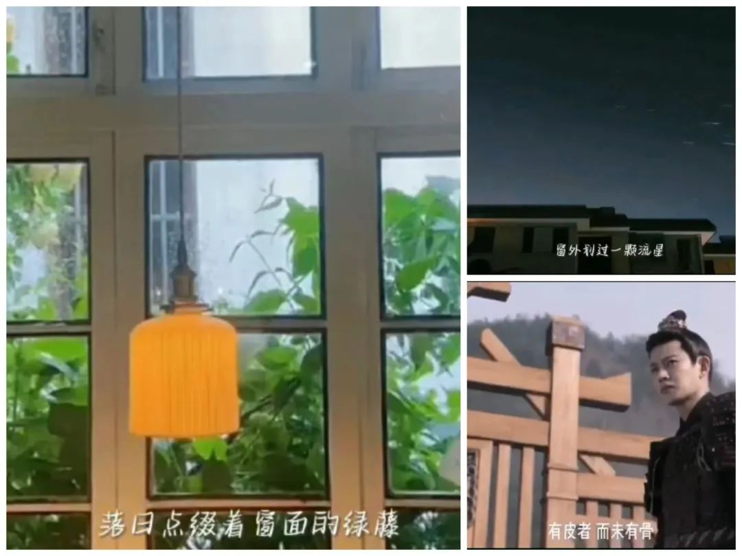 图片 8.png 图片 8.png