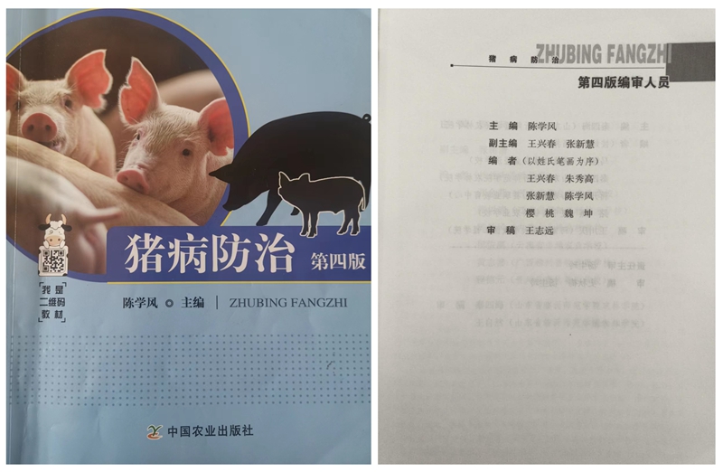 01 - 副本.jpg 01 - 副本.jpg